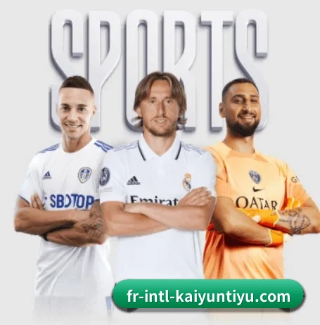 开云 APP 界面 - kaiyun sports